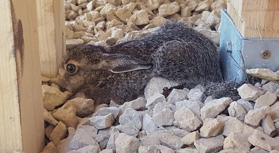 Kompleks Male Dolomity Hucisko  Dış mekan fotoğraf